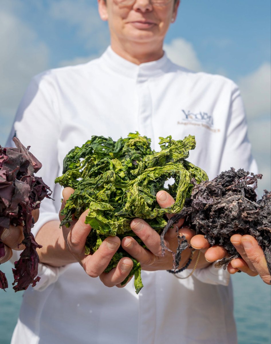 Chips d'algues Yodēn - Infuse Me