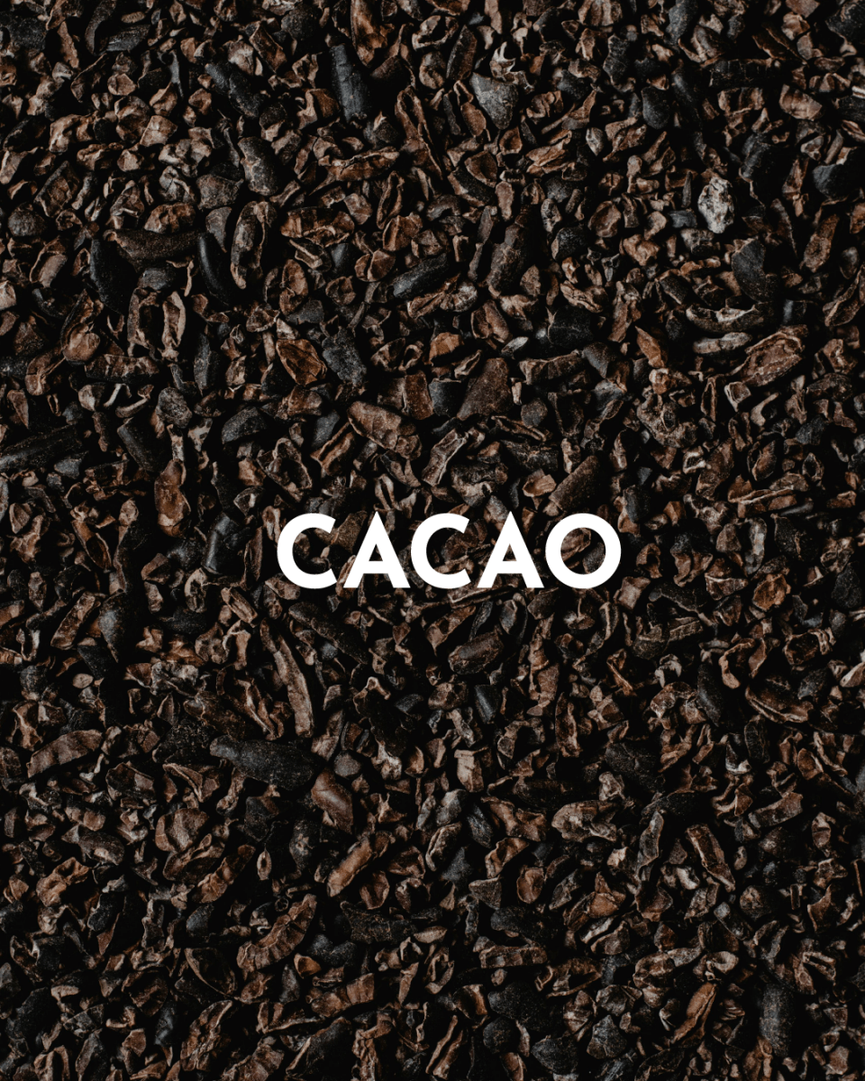 Édition spéciale RHUM - Mellow Choco : gouramnd & épicé 🍫 - Infuse Me