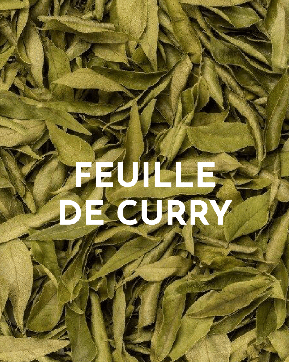 Édition spéciale RHUM - Wild Mule : acidulé & épicé 🍋🟩🫚 - Infuse Me