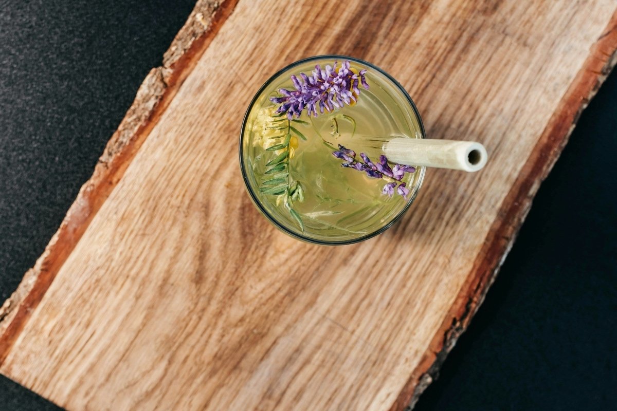 8 Cocktails sans alcool et sans sucre : Des mocktails healthy à faire chez soi - Infuse Me