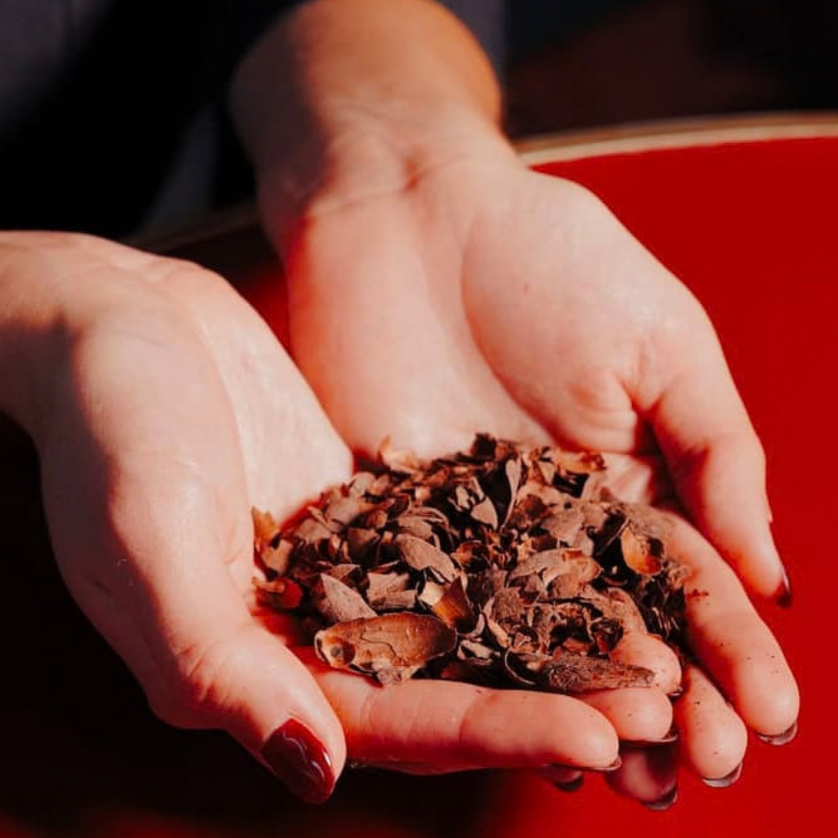 Choco Velvet – fèves de cacao