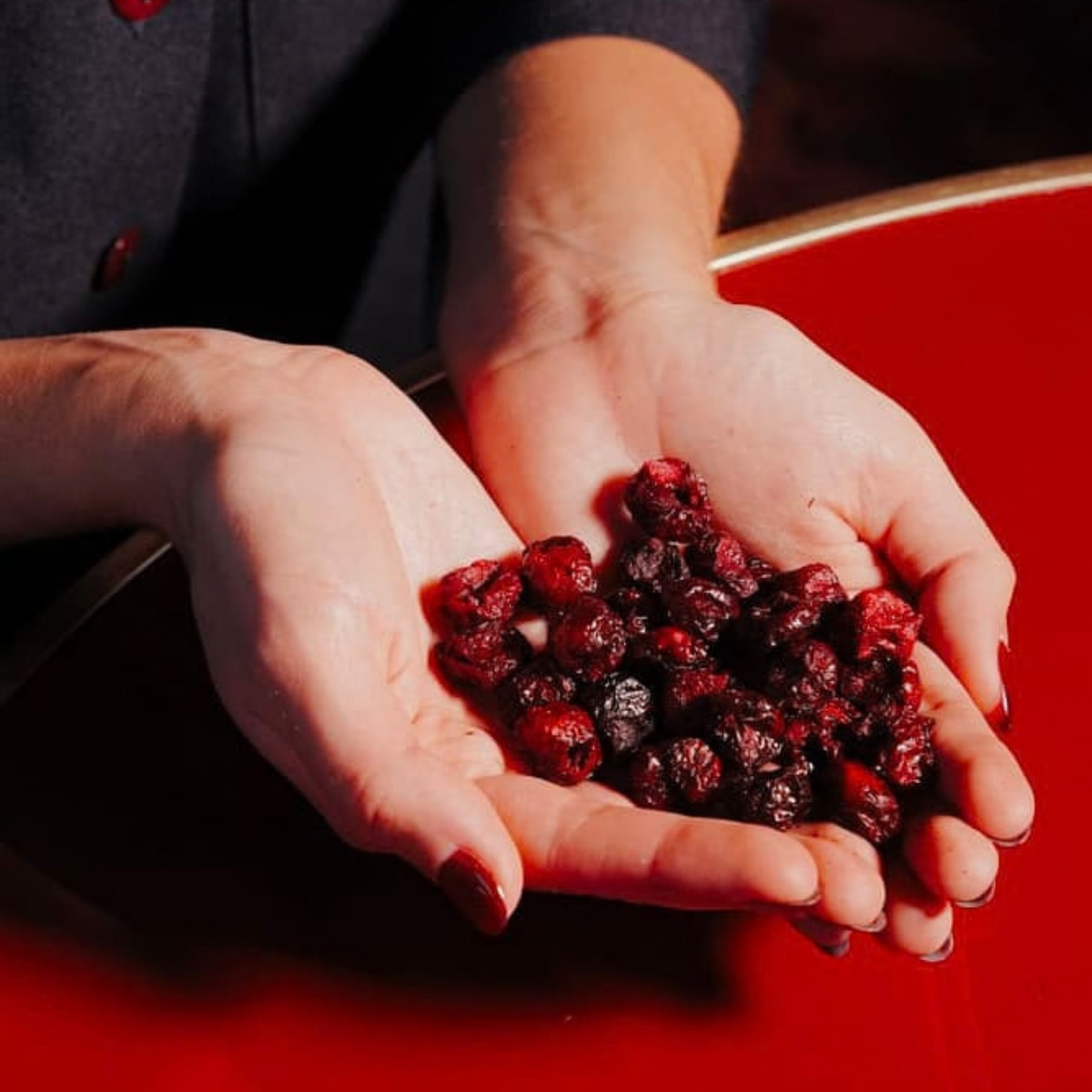 Choco Velvet – fruits rouges