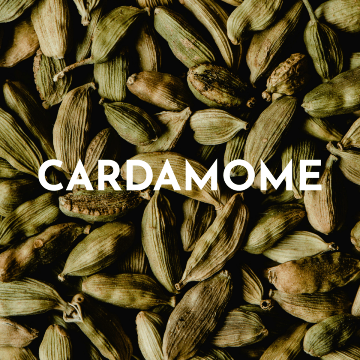 Mellow Choco – cardamome